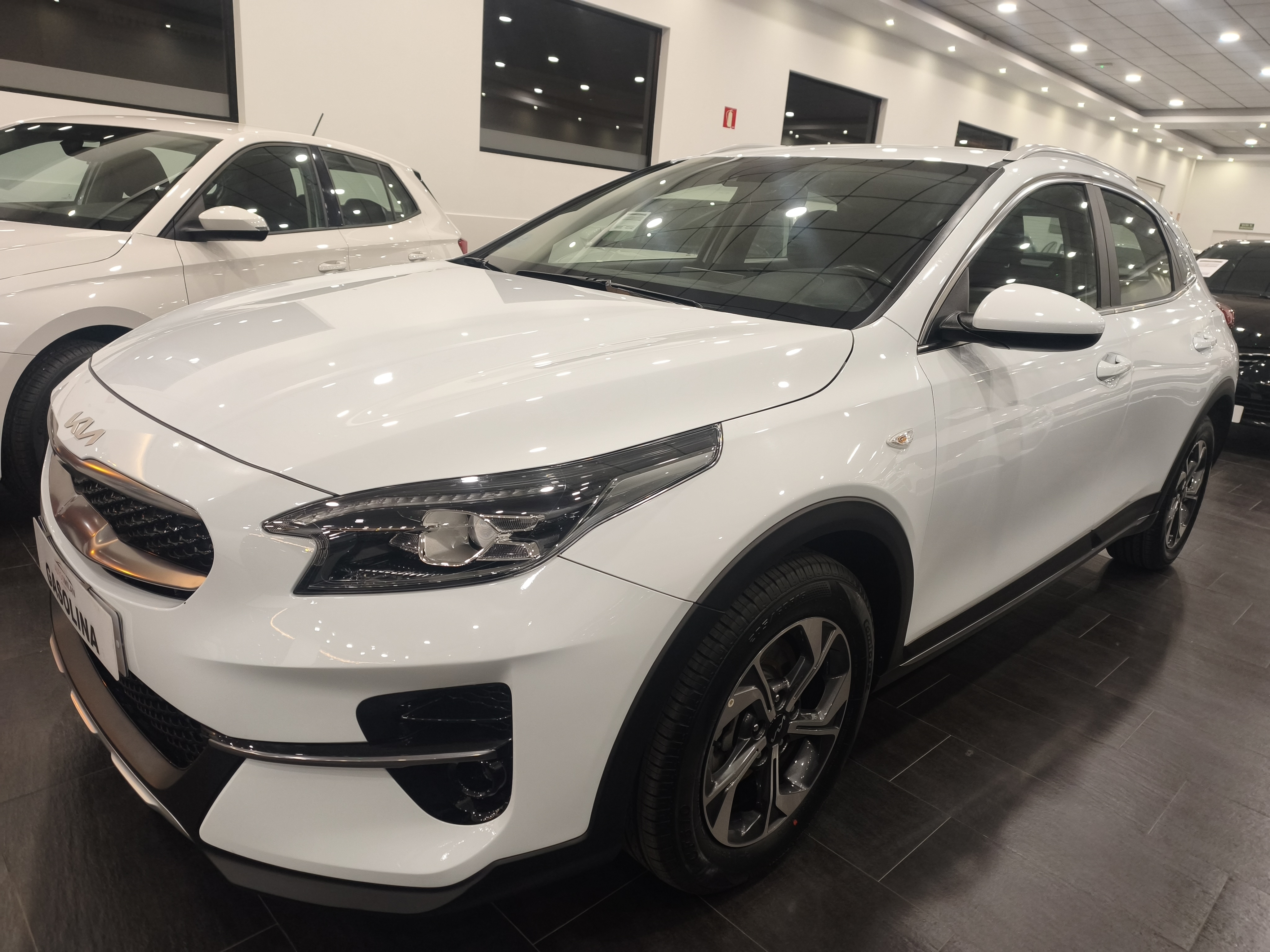 XCEED DRIVE 1.0 T-GDI 120 CV